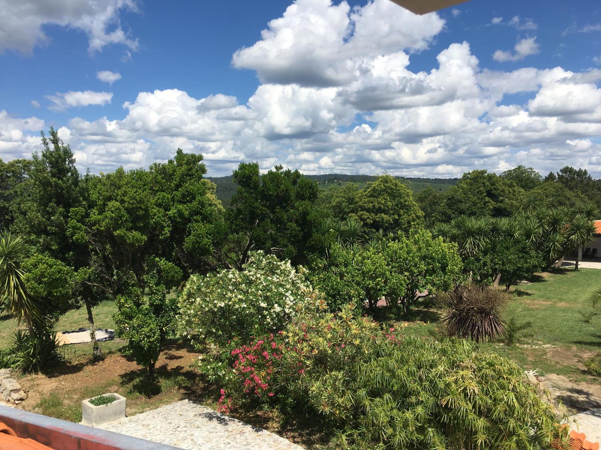 Hotel Quinta De Mocamedes - Turismo De Habitacao Vouzela Exteriér fotografie
