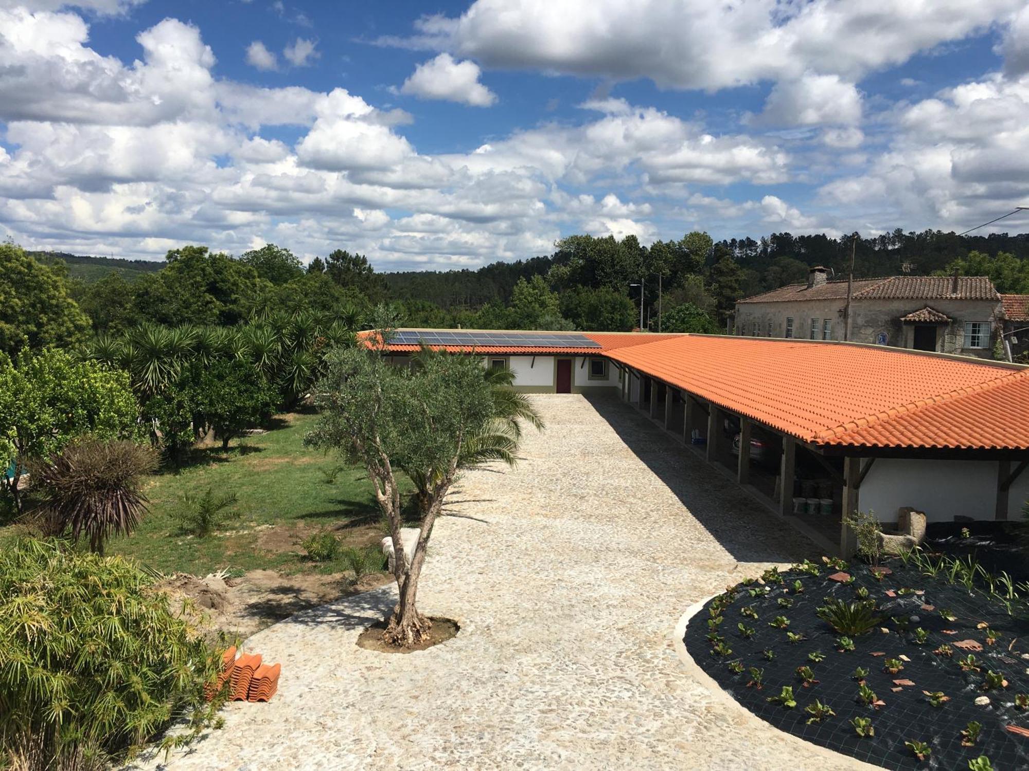 Hotel Quinta De Mocamedes - Turismo De Habitacao Vouzela Exteriér fotografie