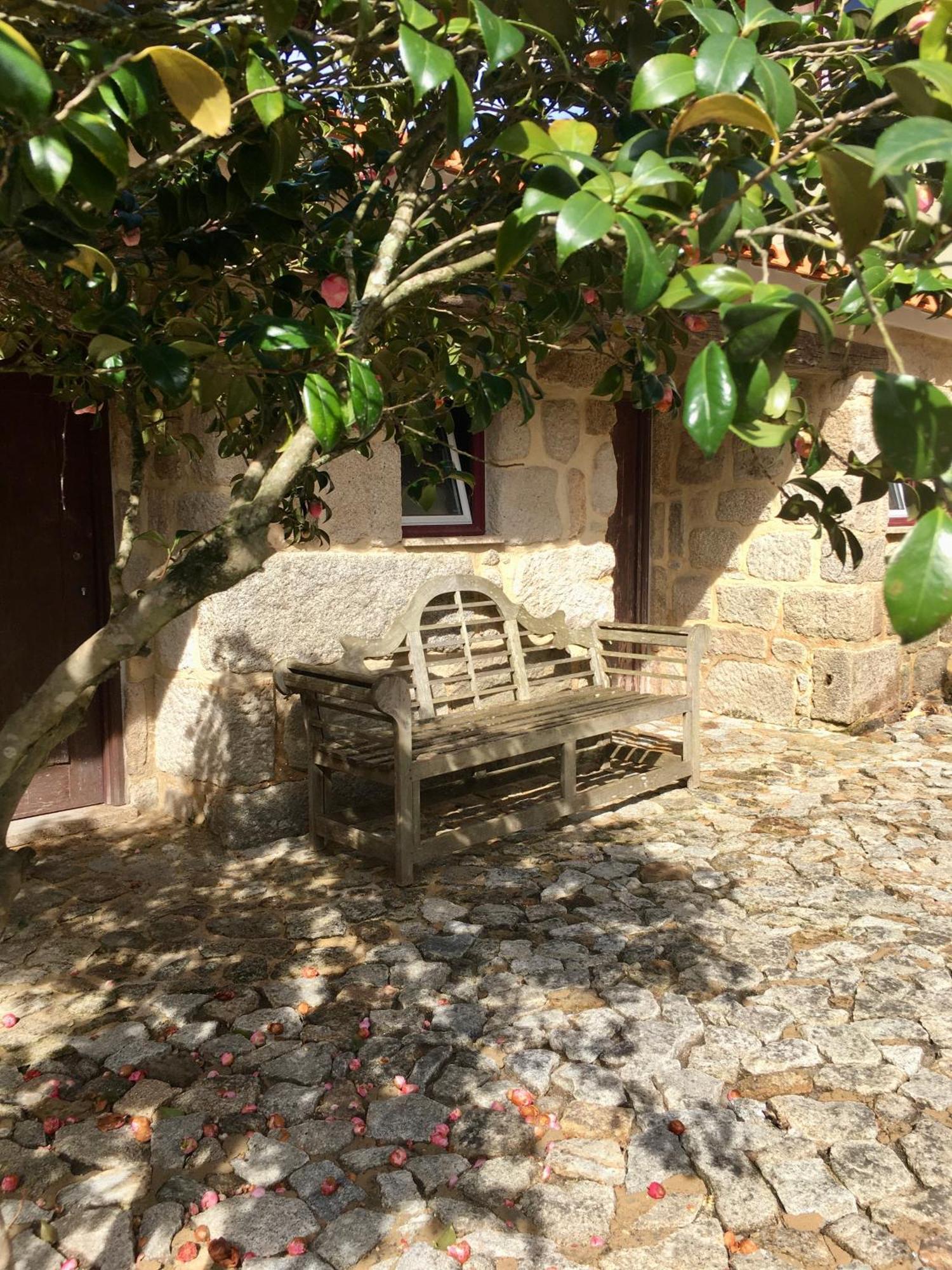 Hotel Quinta De Mocamedes - Turismo De Habitacao Vouzela Exteriér fotografie