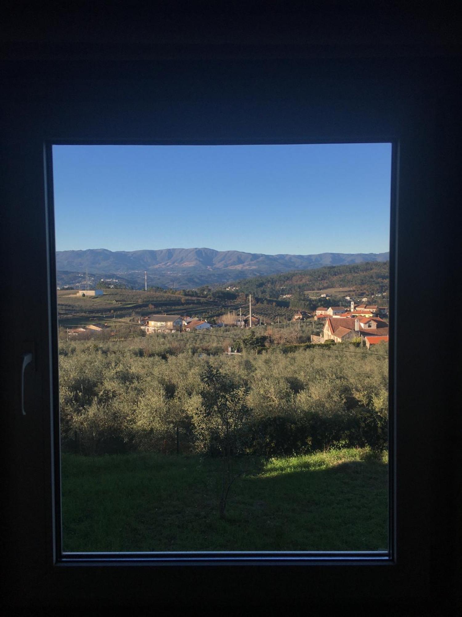 Hotel Quinta De Mocamedes - Turismo De Habitacao Vouzela Exteriér fotografie
