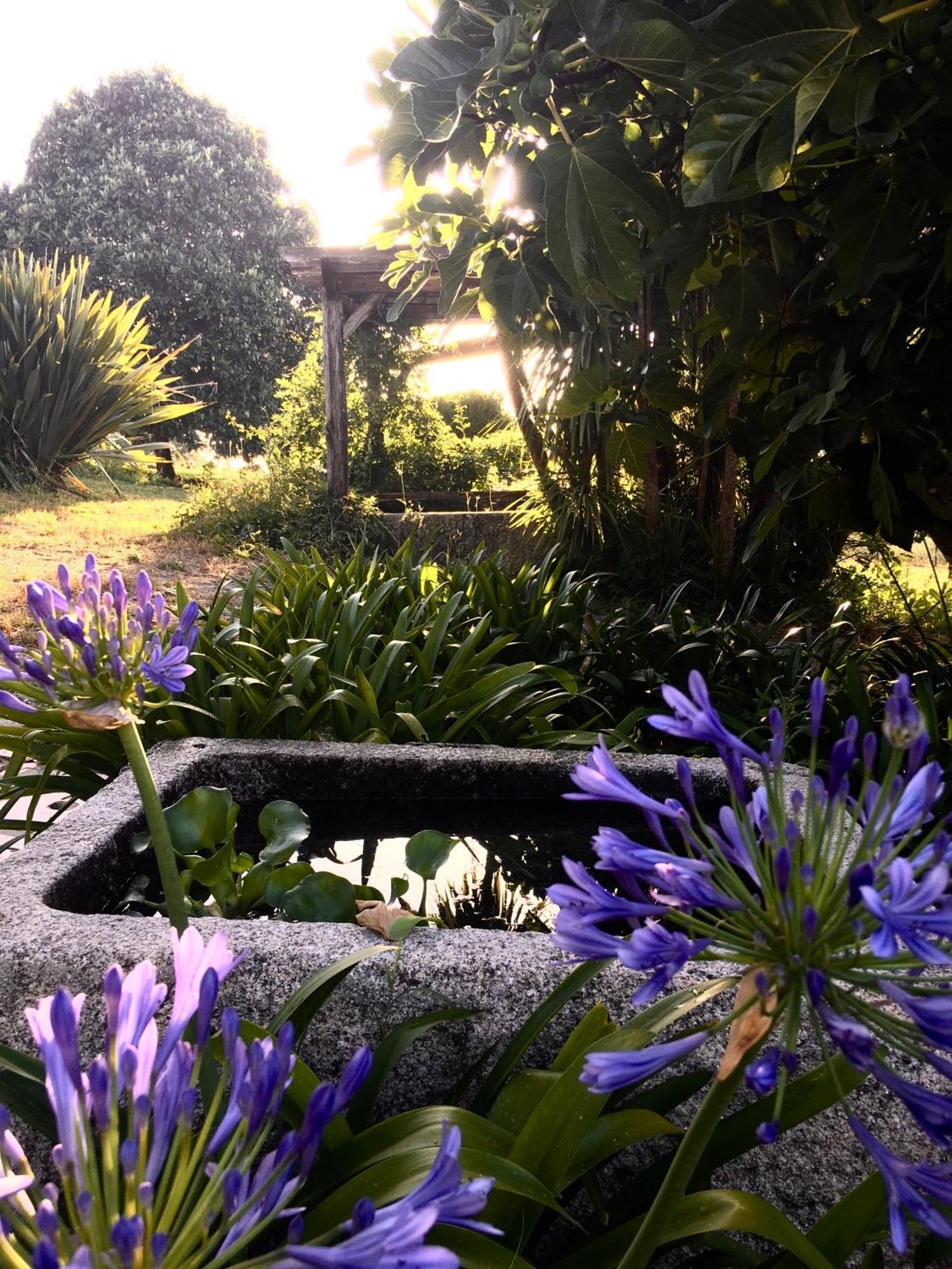 Hotel Quinta De Mocamedes - Turismo De Habitacao Vouzela Exteriér fotografie