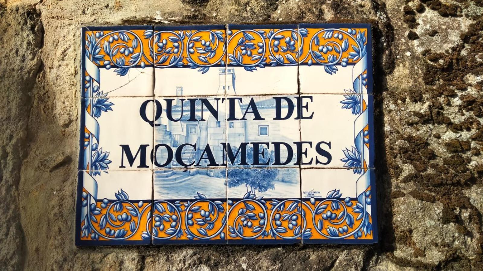 Hotel Quinta De Mocamedes - Turismo De Habitacao Vouzela Exteriér fotografie