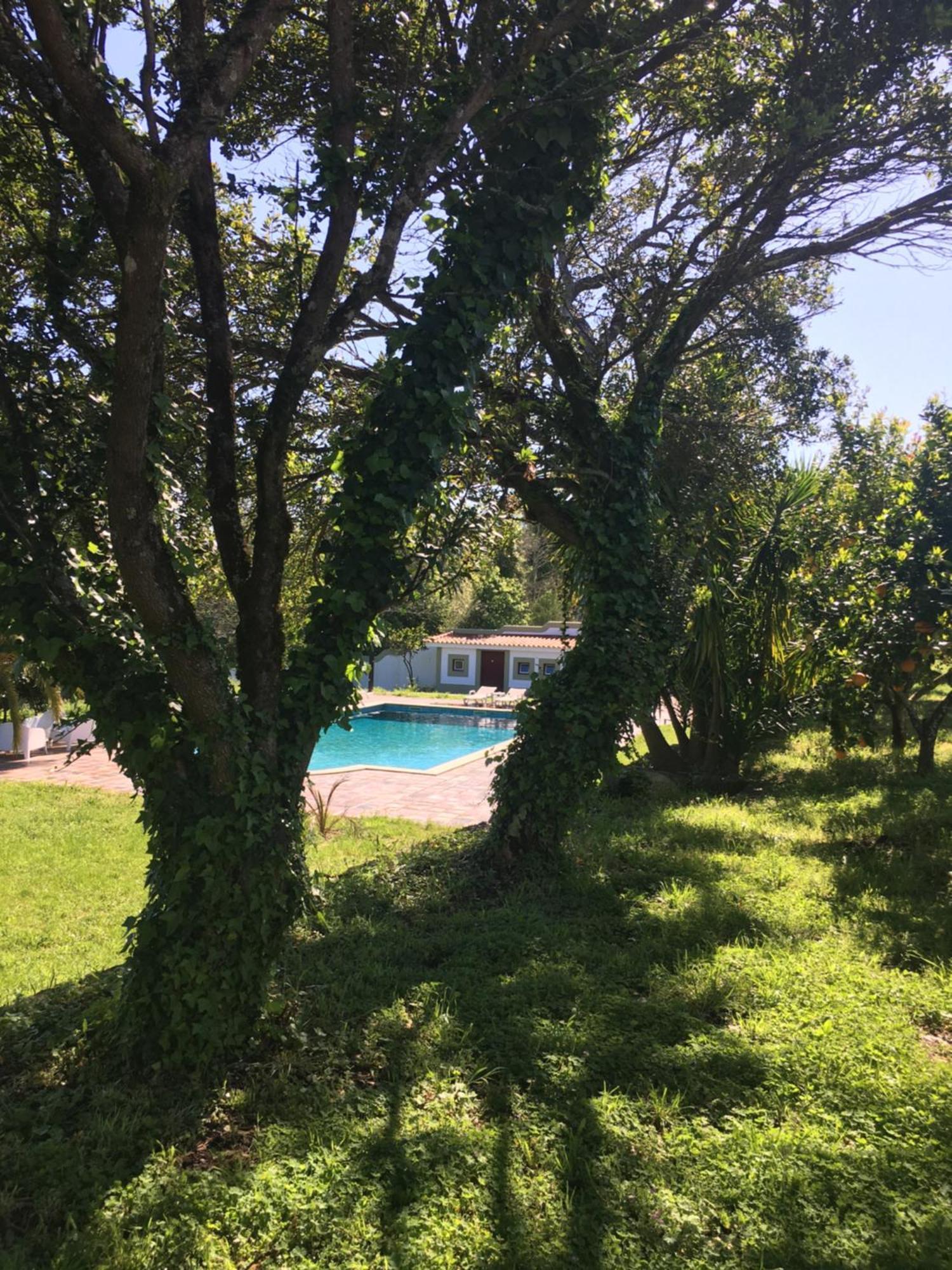 Hotel Quinta De Mocamedes - Turismo De Habitacao Vouzela Exteriér fotografie