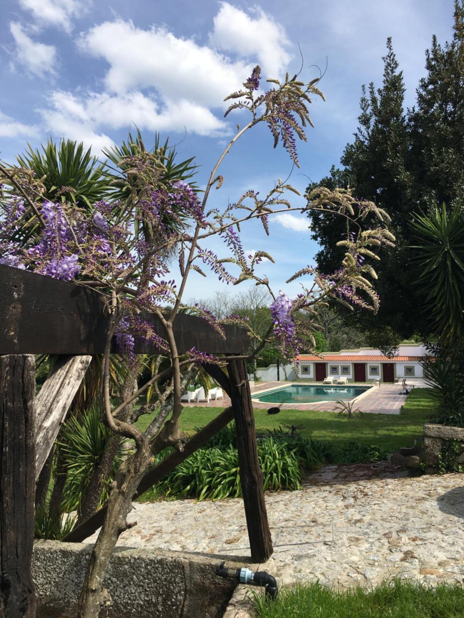 Hotel Quinta De Mocamedes - Turismo De Habitacao Vouzela Exteriér fotografie